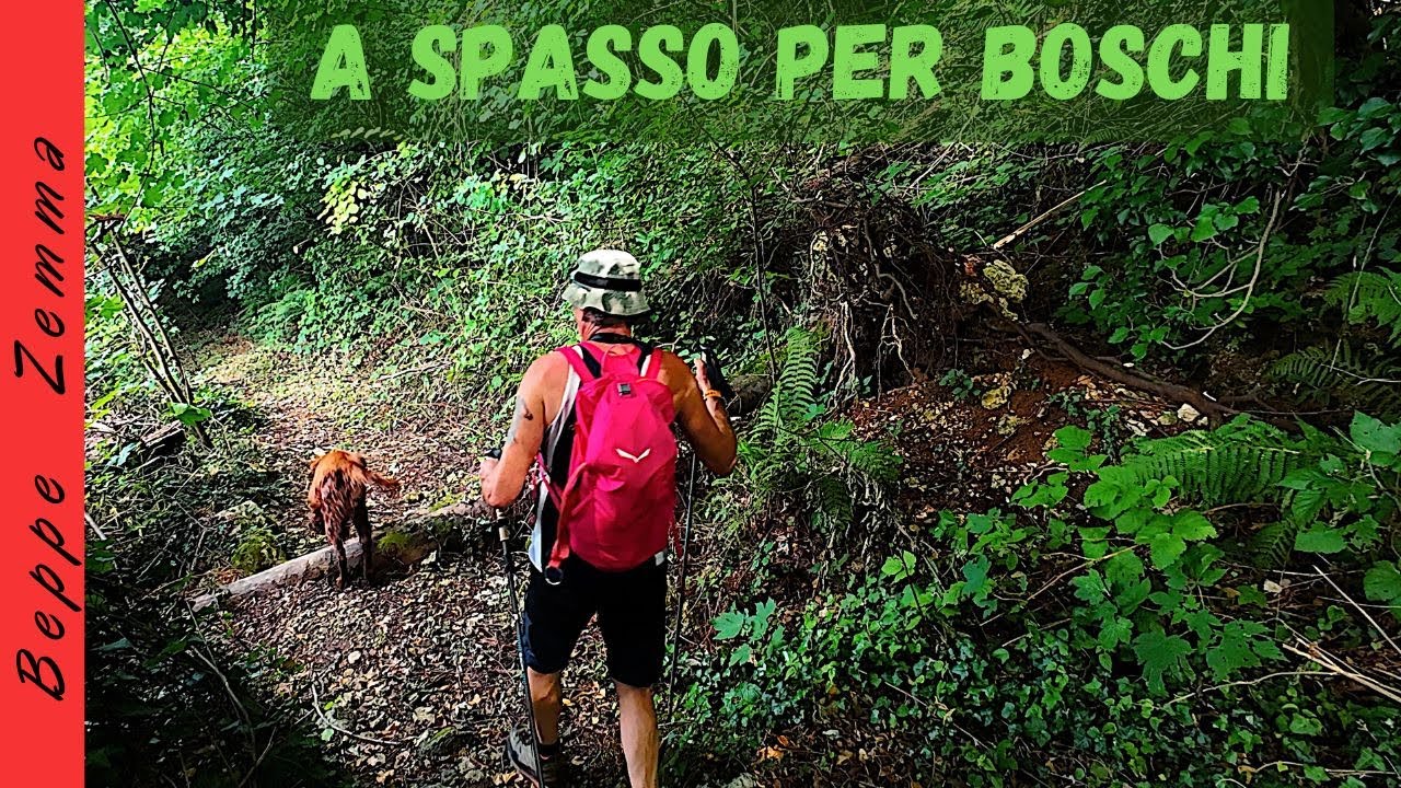 A SPASSO PER I BOSCHI DI FIMON