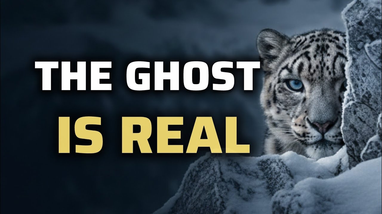 The Ghost Predator No One Can See | Snow Leopard Documentary (4K)