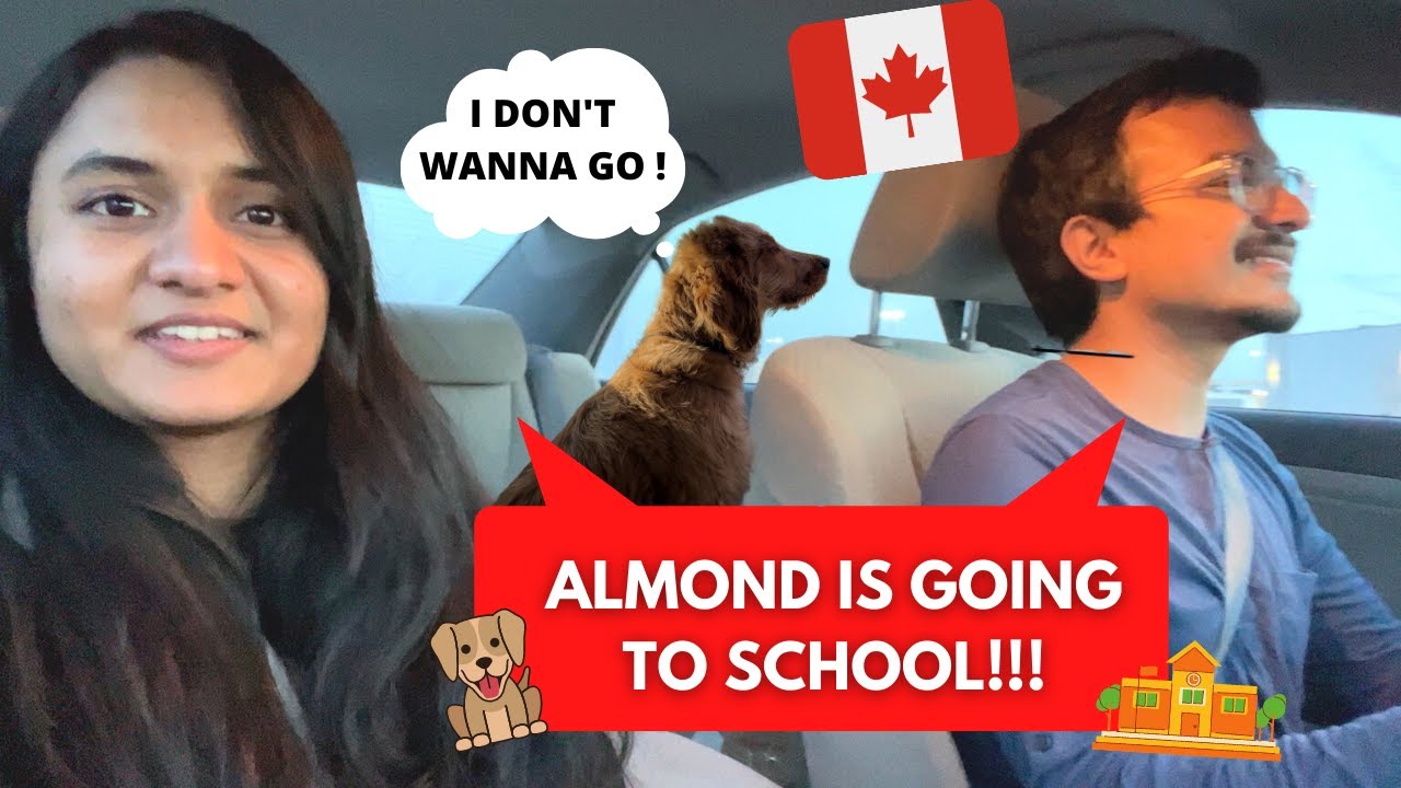 ALMOND'S FIRST DAY AT SCHOOL AND HIS SHOPPING !