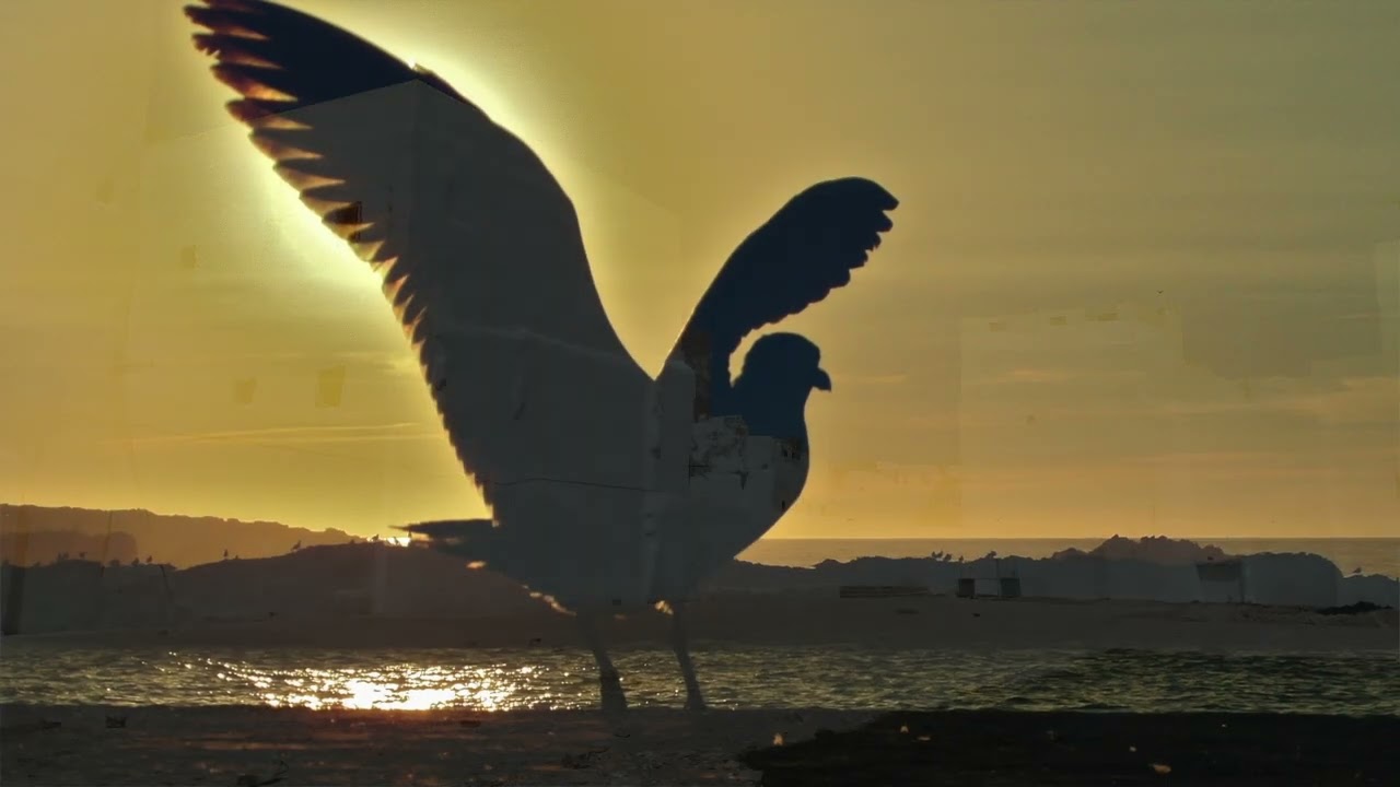 Essaouira