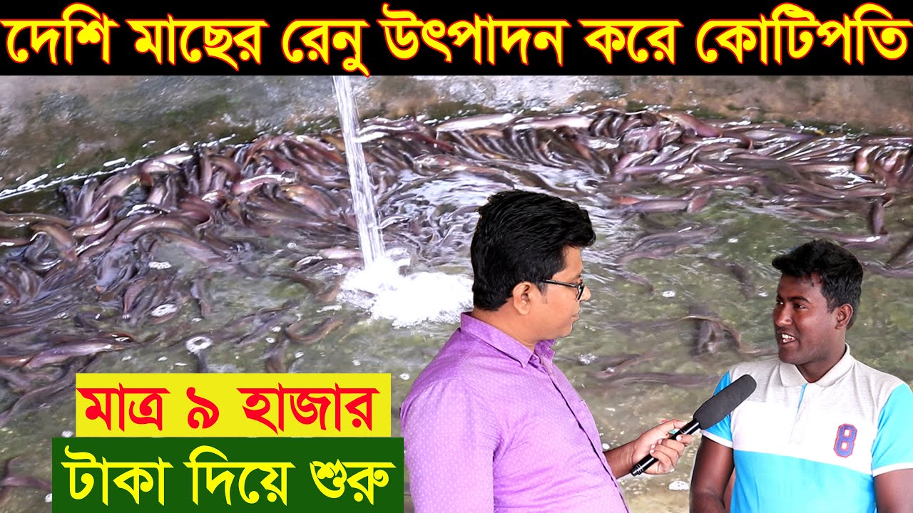 মাত্র ৯ হাজার টাকা দিয়ে দেশি মাছের পোনা চাষ শুরু করে আজ ২ কোটি টাকার মালিক নঁওগার চঞ্চল ভাই