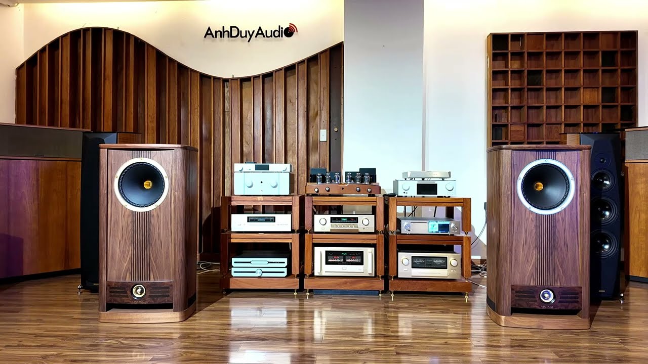 AnhDuyAudio | Phối ghép trình diễn | Fyne Audio Vintage 12 - Accuphase C2900 - Accuphase A75