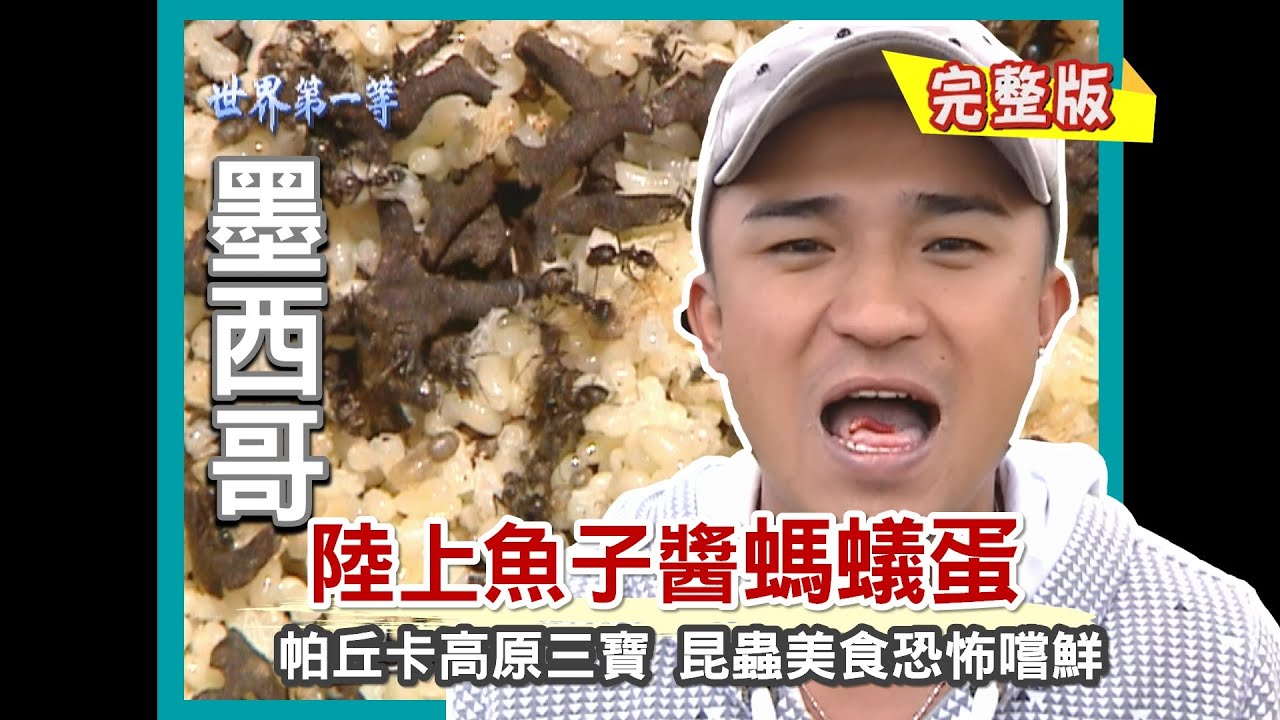 【墨西哥】找尋陸上魚子醬 螞蟻蛋（帕丘卡高原三寶 聖酒 Pulque／龍舌蘭蠕蟲／螞蟻蛋）｜《世界第一等》217集小馬完整版