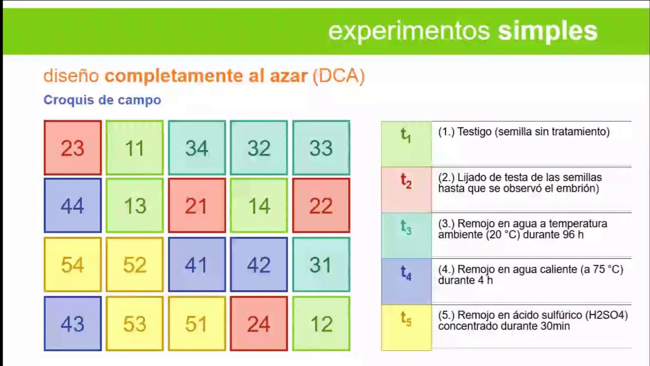 Características y aleatorización diseño completamente al azar