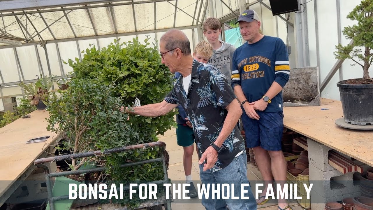 Bonsai for all the Family