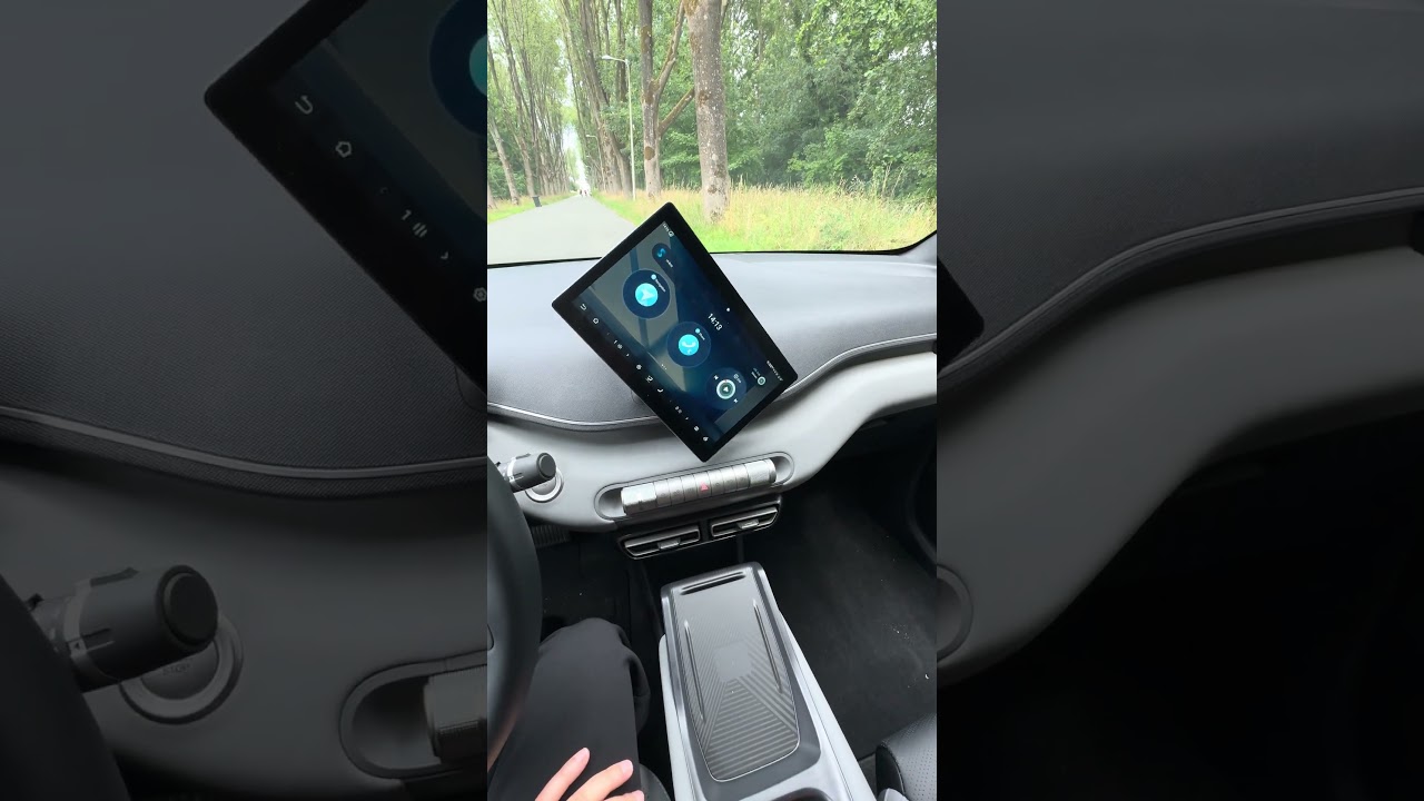 Inside the BYD Dolphin Surf – Dashboard & Controls 