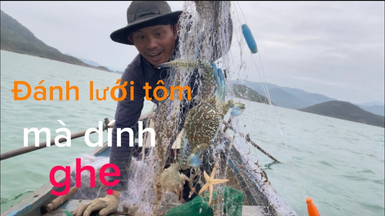 một ngày đi đánh lưới được nhiều hải sản ngon 