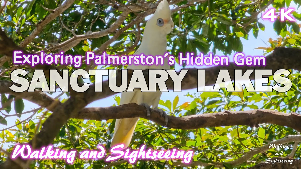 Palmerston Sanctuary Lakes Park Exploring Walking Sightseeing Tour 4K Northern Territory Australia