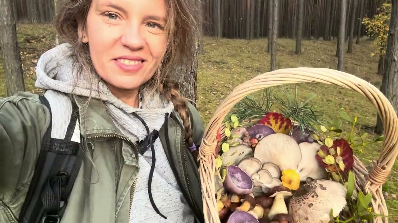 31.10.25 - Z grzybami dalej bardzo różnorodnie!