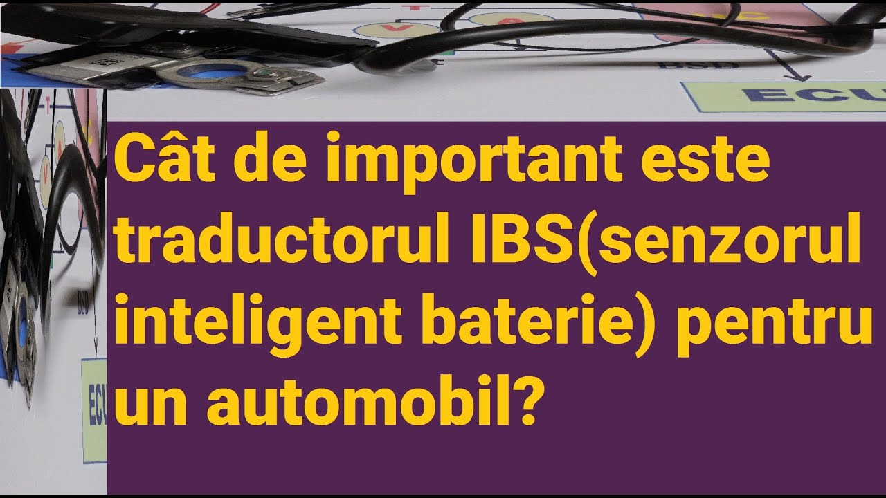 Cât de important este traductorul IBS pentru automobile?