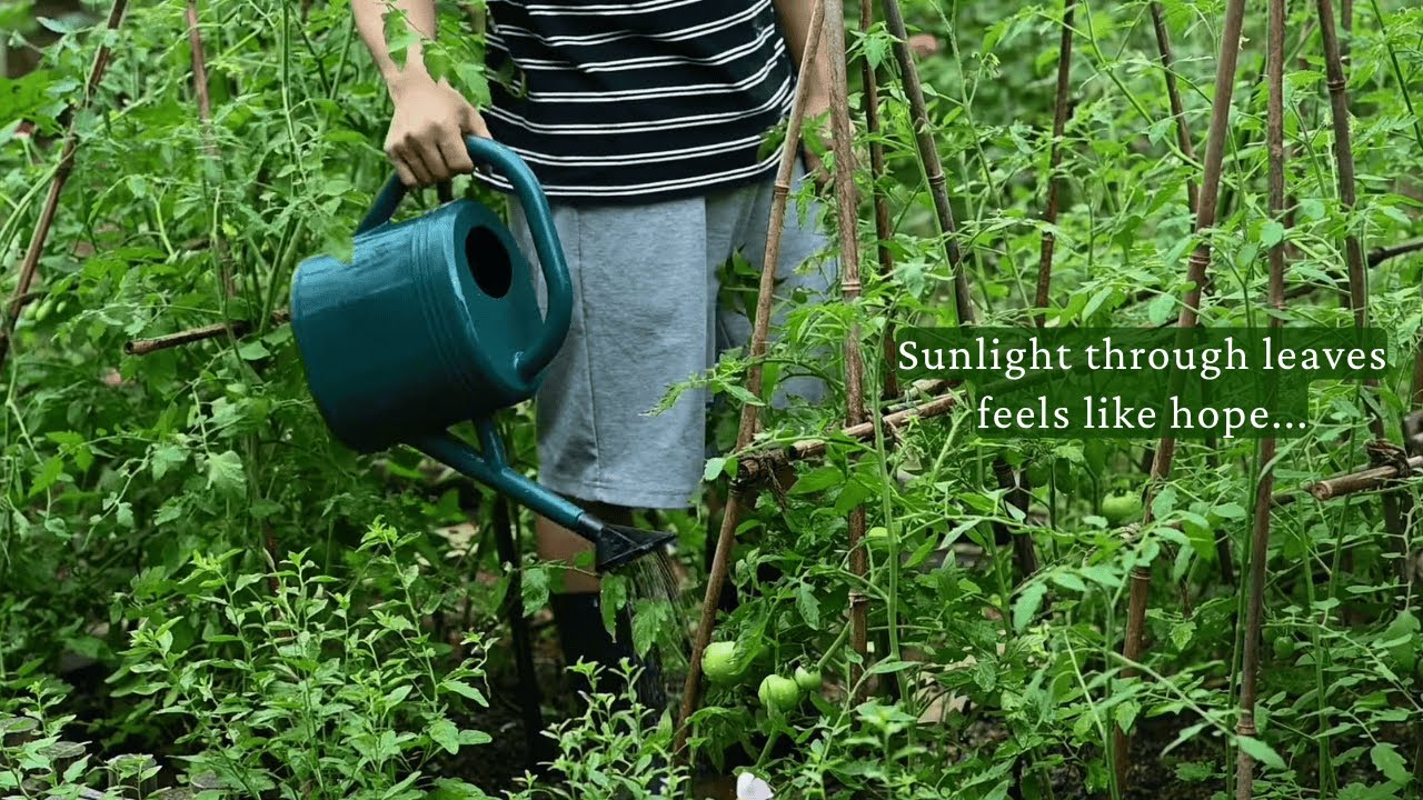 sunlight through leaves feels like hope.../a relaxing mood playlist/