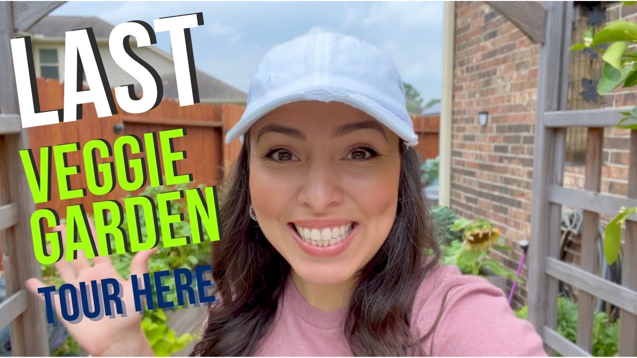 Last Vegetable Garden Tour Here!