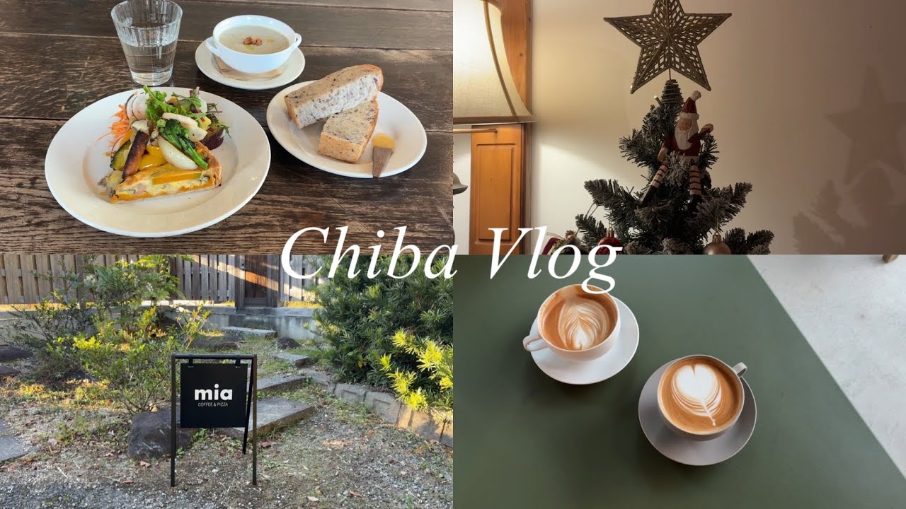 vlog  Время наслаждаться осенней листвой / Моё любимое кафе / Ежедневный видеоблог за ноябрь