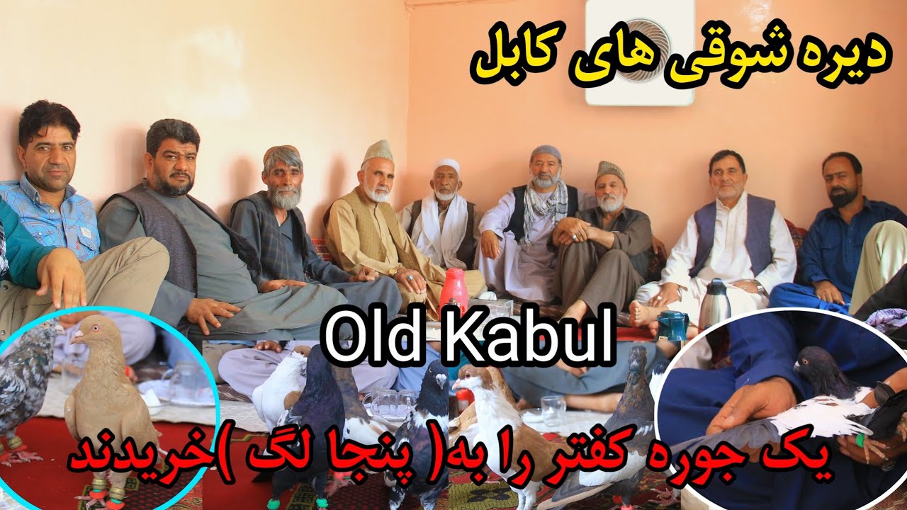 دیره شوقی های افغانستان/ کفتر را به پنجا لگ خریدند/ کفتر از زیر پل عبور کرده/ Old days of Kabul