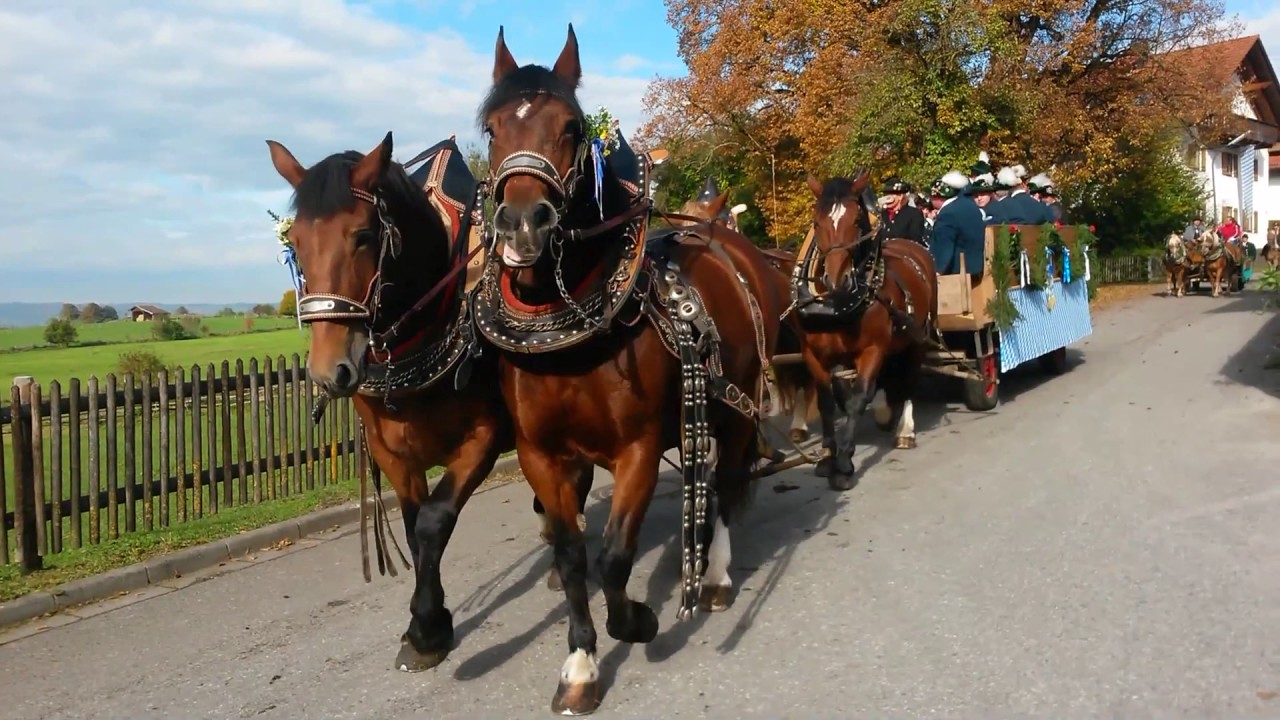 Leonhardifahrt in Pähl - 23/10/2016