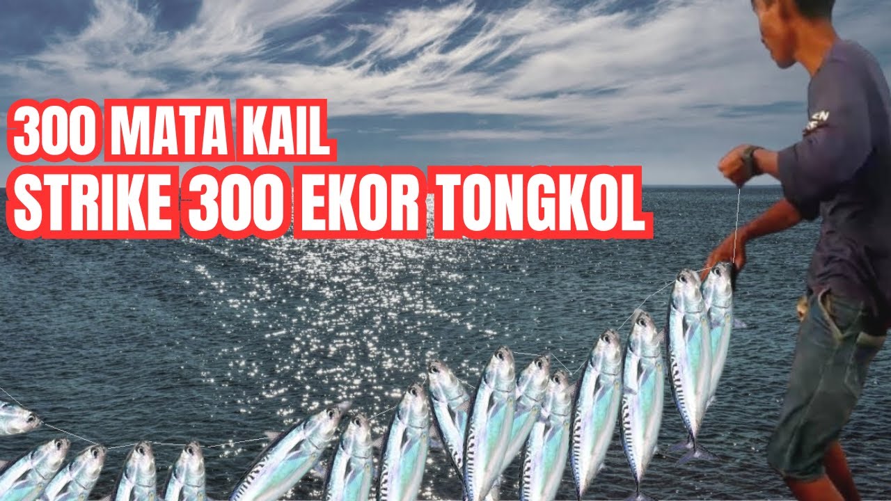 kejadian lucu saat mancing | 300 mata kail, strike 300 ikan tongkol sekaligus | KOPI BAJANG