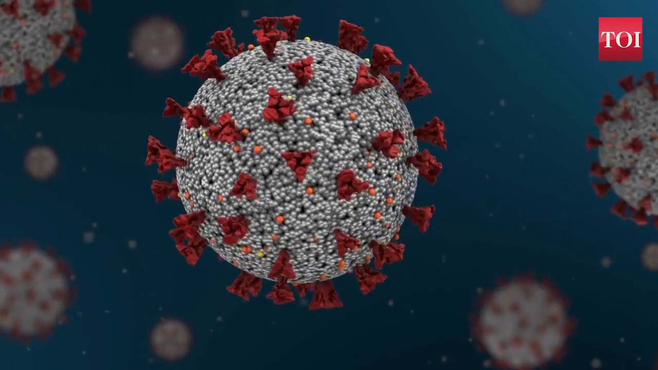 Inovio Pharma&rsquo;s Covid 19 vaccine candidate shows promise in small early stage