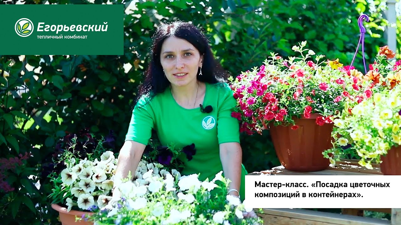 Посадка цветочных композиций в контейнерах. Мастер-класс на дне открытых дверей 2020.