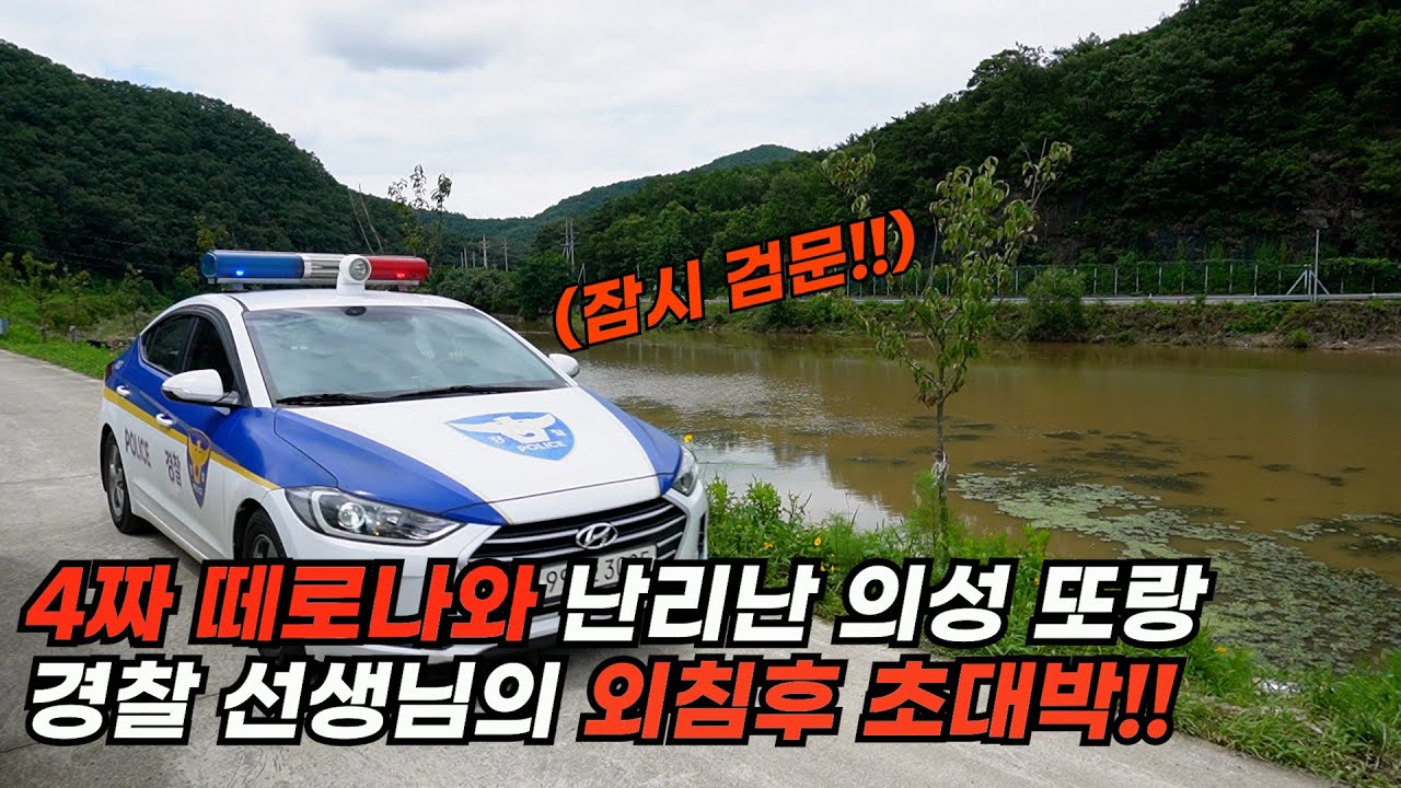 경찰뜨고 난리난 의성 또랑에서 굉장한 녀석들을 만났습니다!!