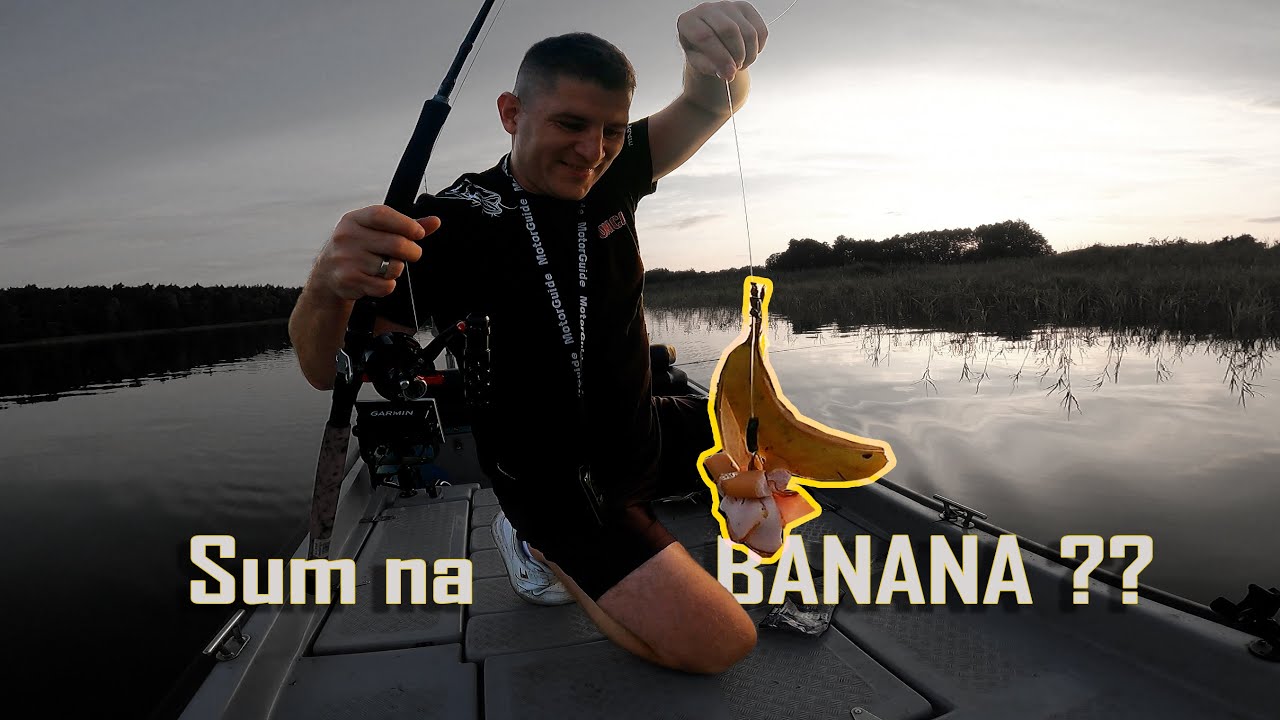 Sumowe Wyprawy // Sum na banana??