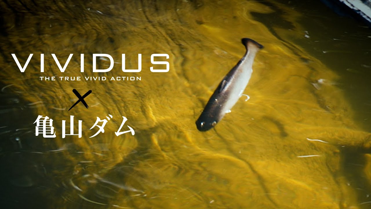 【バス釣り】亀山のビッグバスを仕留めるVIVIDUS攻略 /堀川海都•片岡壮士