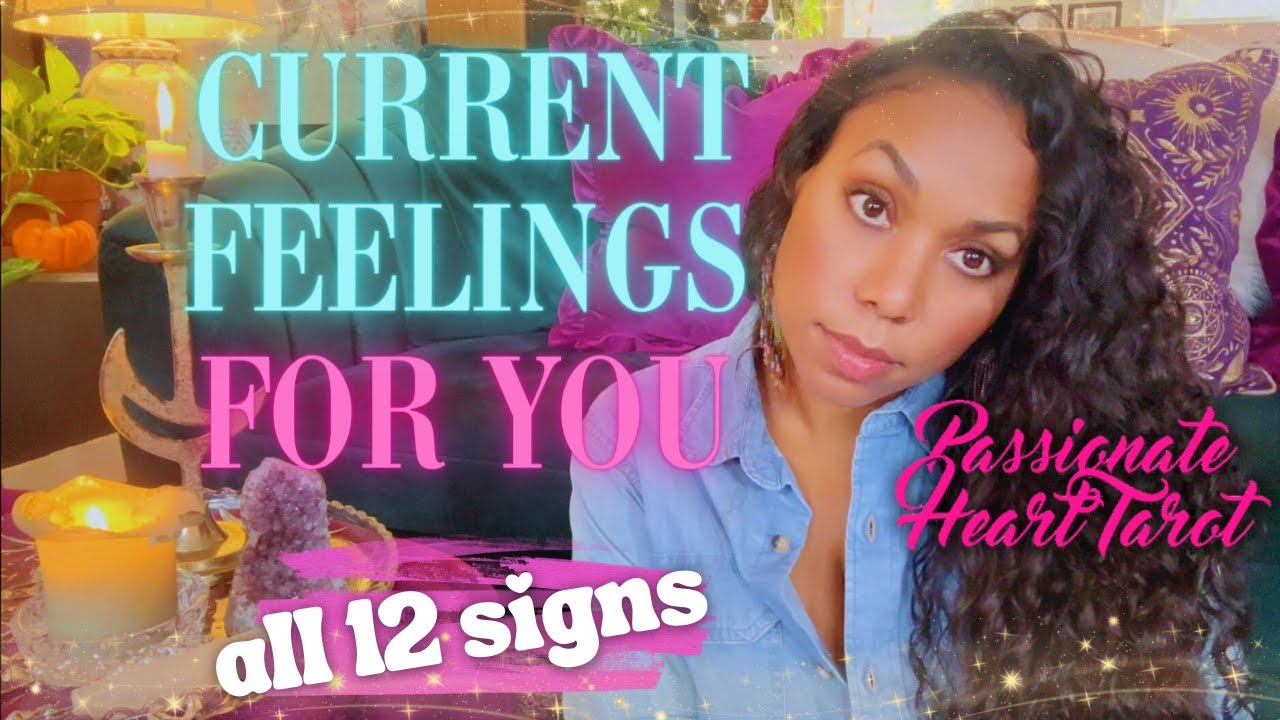 ✨💖 Their Current Feelings For You! ✧ All 12 Signs - Time Stamped 💖✨