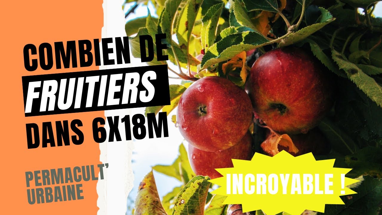 Comment avoir 17 fruits et arbres fruitiers en petit jardin urbain