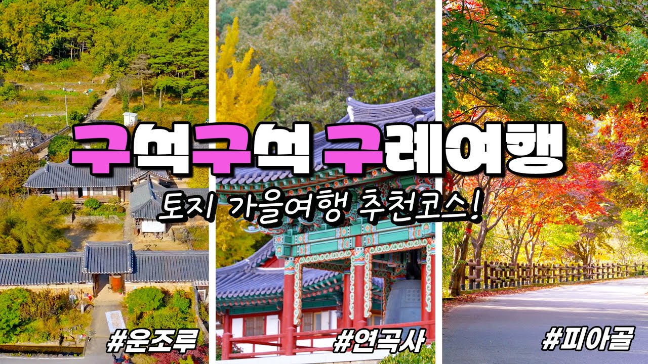 [그래서구례] 32회 🚗구석구석 구례여행 토지편💨 조회수 1위 해설사의 가을여행 추천코스🍁