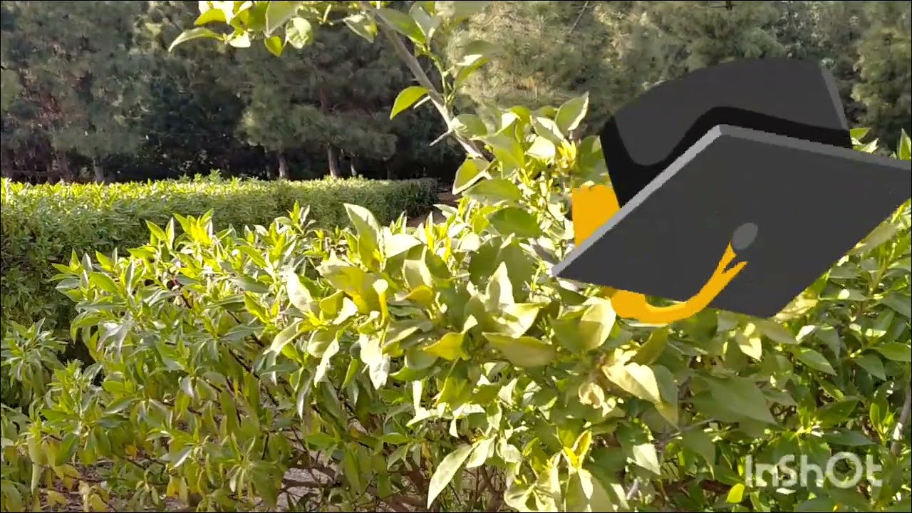 🚨من أمام المحكمة بفاس تقديم الأسرة المشوهة آخر المستجدات 