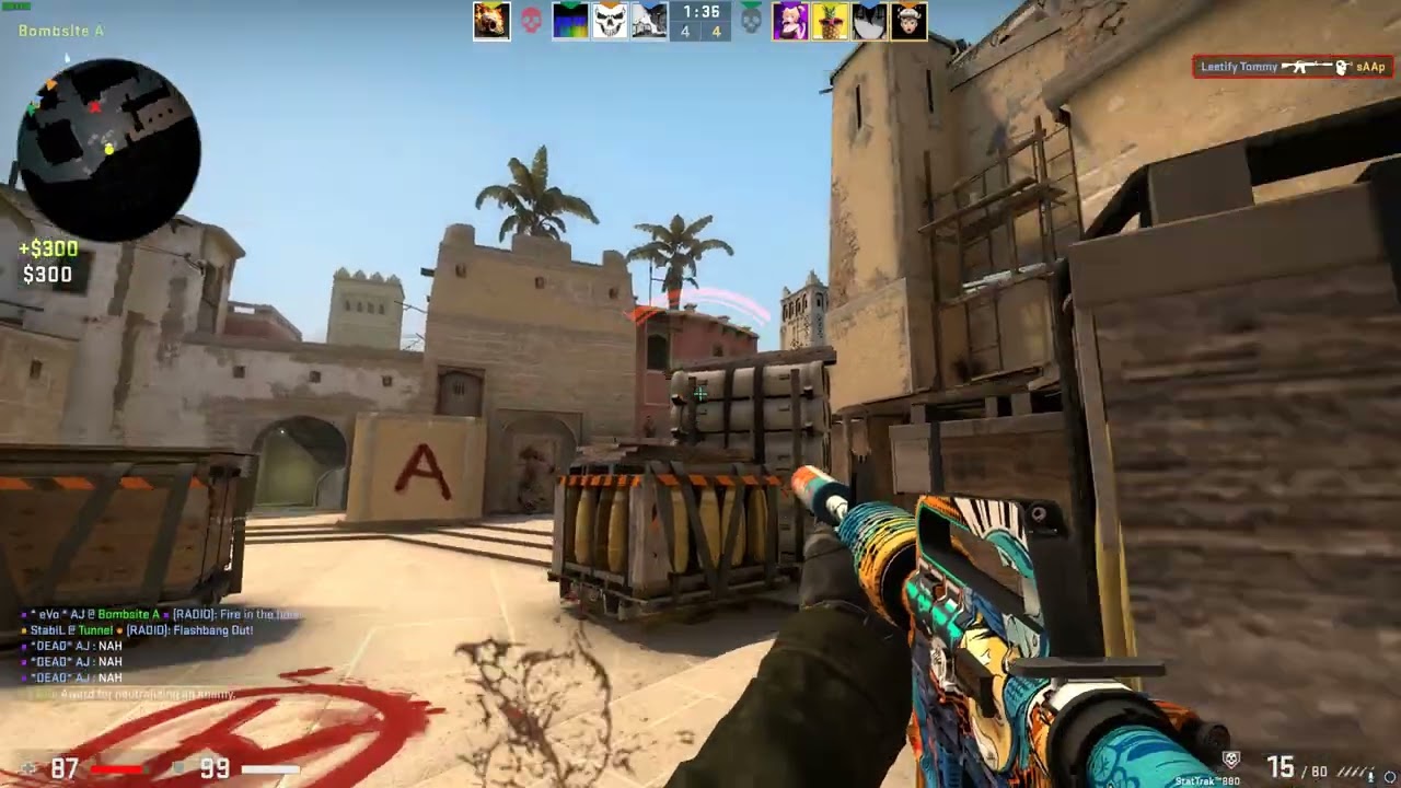 Last CSGO Video