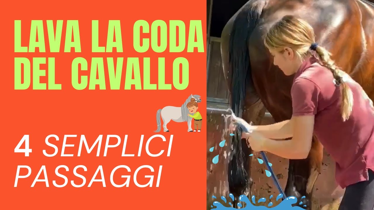 COME LAVARE LA CODA del cavallo in modo SEMPLICE E VELOCE 🐴😉
