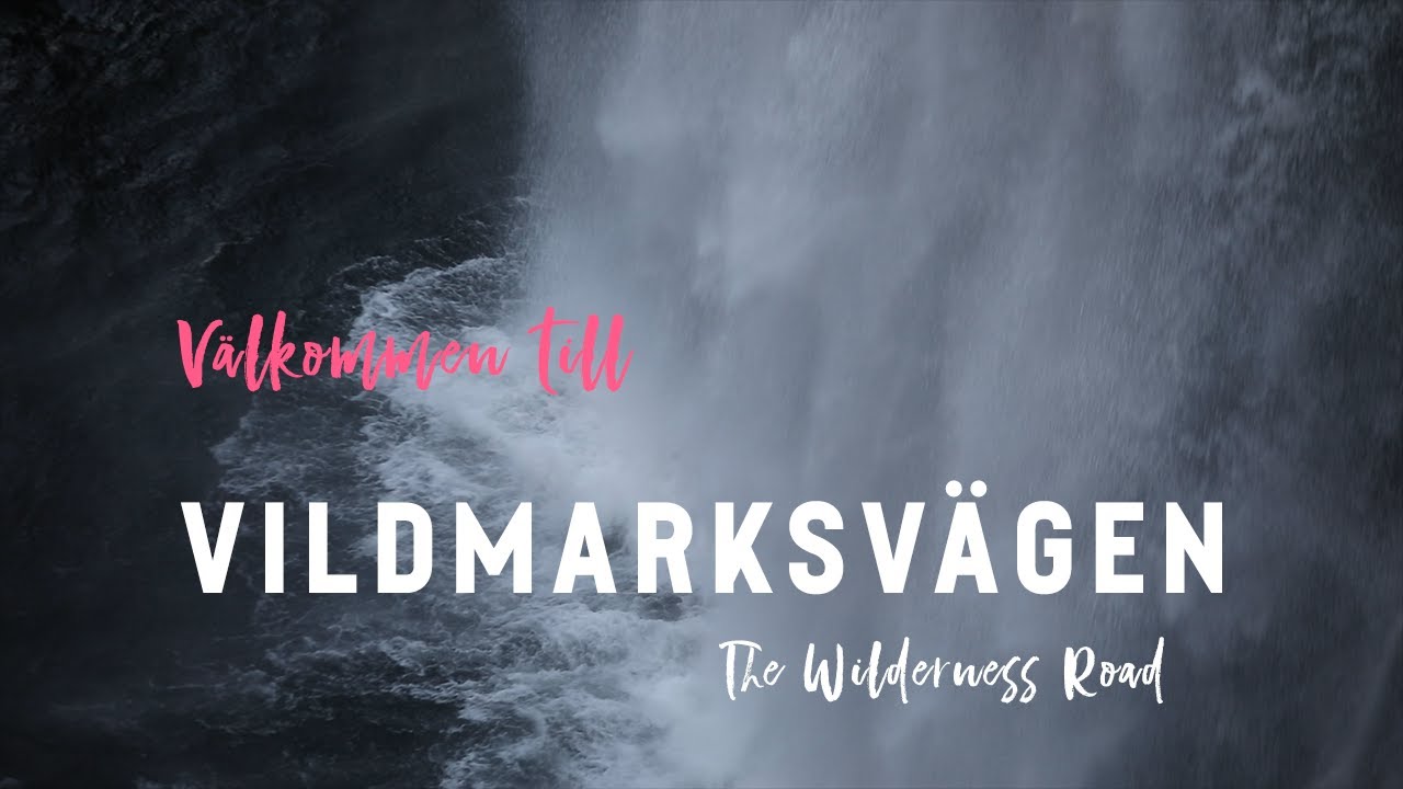 Vildmarksvägen - roadtrip bland fjäll, vattenfall & vackra landskap (The Wilderness Road in Sweden)