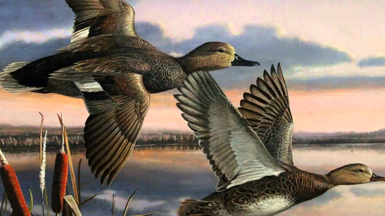 LDWF - 2014 Louisiana Waterfowl Stamp Competition