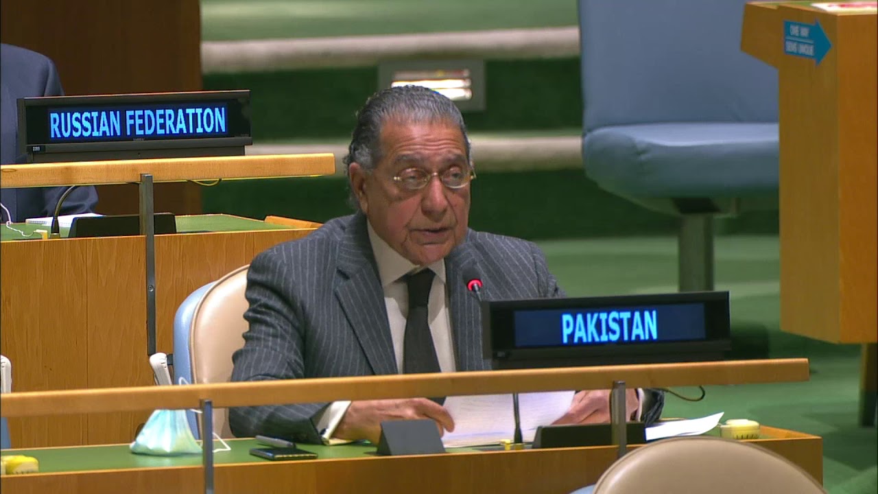 Statement by Ambassador Munir Akram at the General Debate and Opening Plenary Meeting of C-34