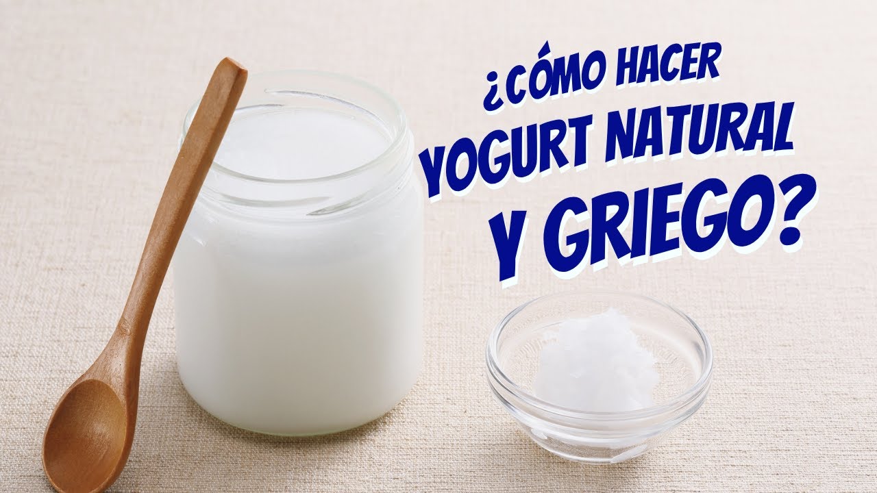 Cómo hacer yogurt casero y yogurt griego 🥛| fácil, natural y alto en proteínas 