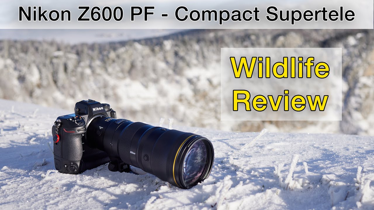 Many have been waiting for this! Nikon Z 600mm f/6.3 PF (REVIEW)