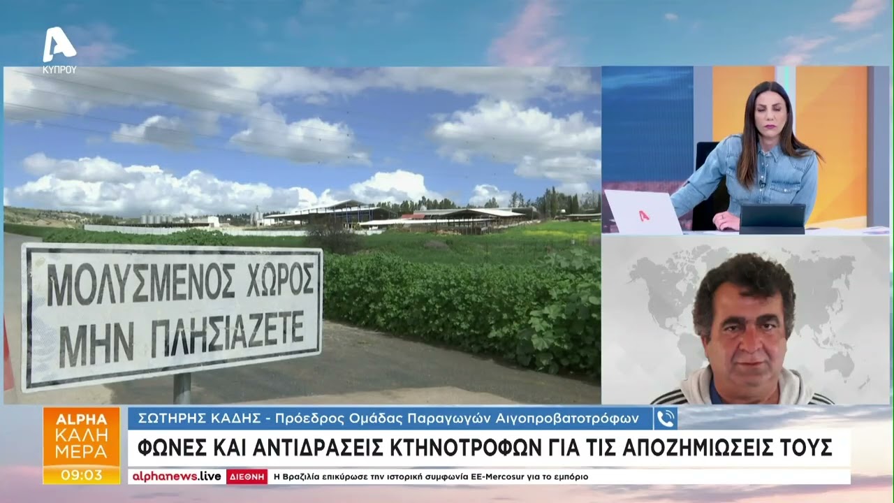 Φωνές και αντιδράσεις κτηνοτρόφων για τις αποζημιώσεις τους | AlphaNews Live