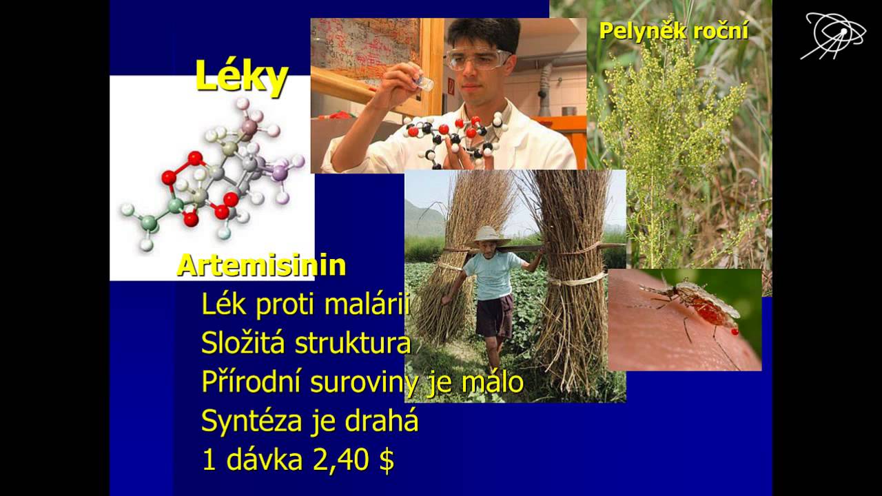 Jaroslav Petr, Syntetická biologie - zrození druhého života
