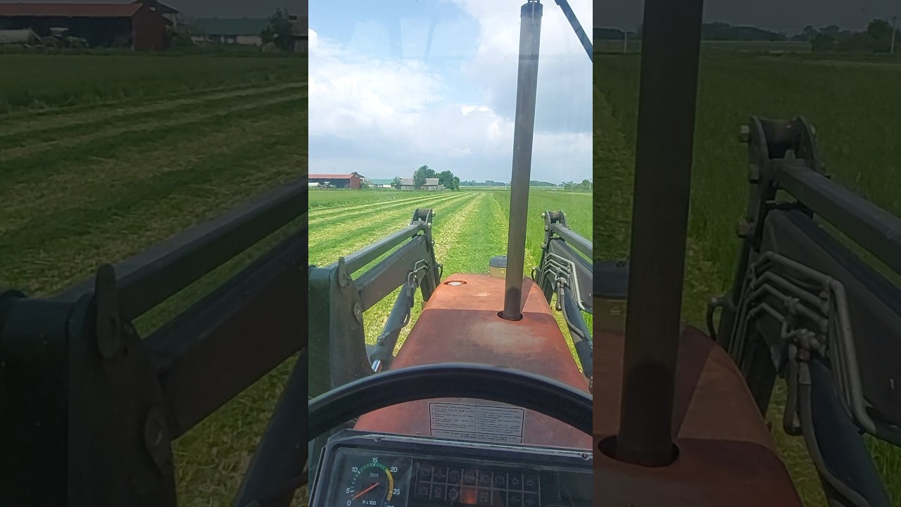 Drugi Pokos Gorzowskiej🌱☘️👍