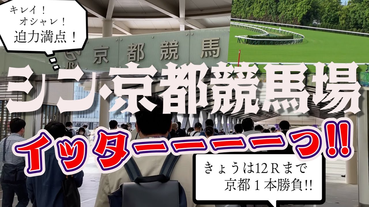 【競馬勝負】360度パドック！屋外指定席は解放感満点で馬券は…？