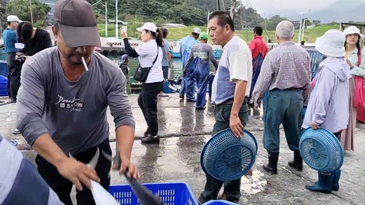宜蘭南澳朝陽漁港搶魚，定置漁網船回到碼頭