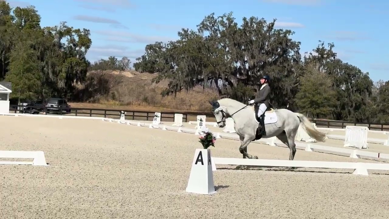 Fursten Liebling first level test 1 70%