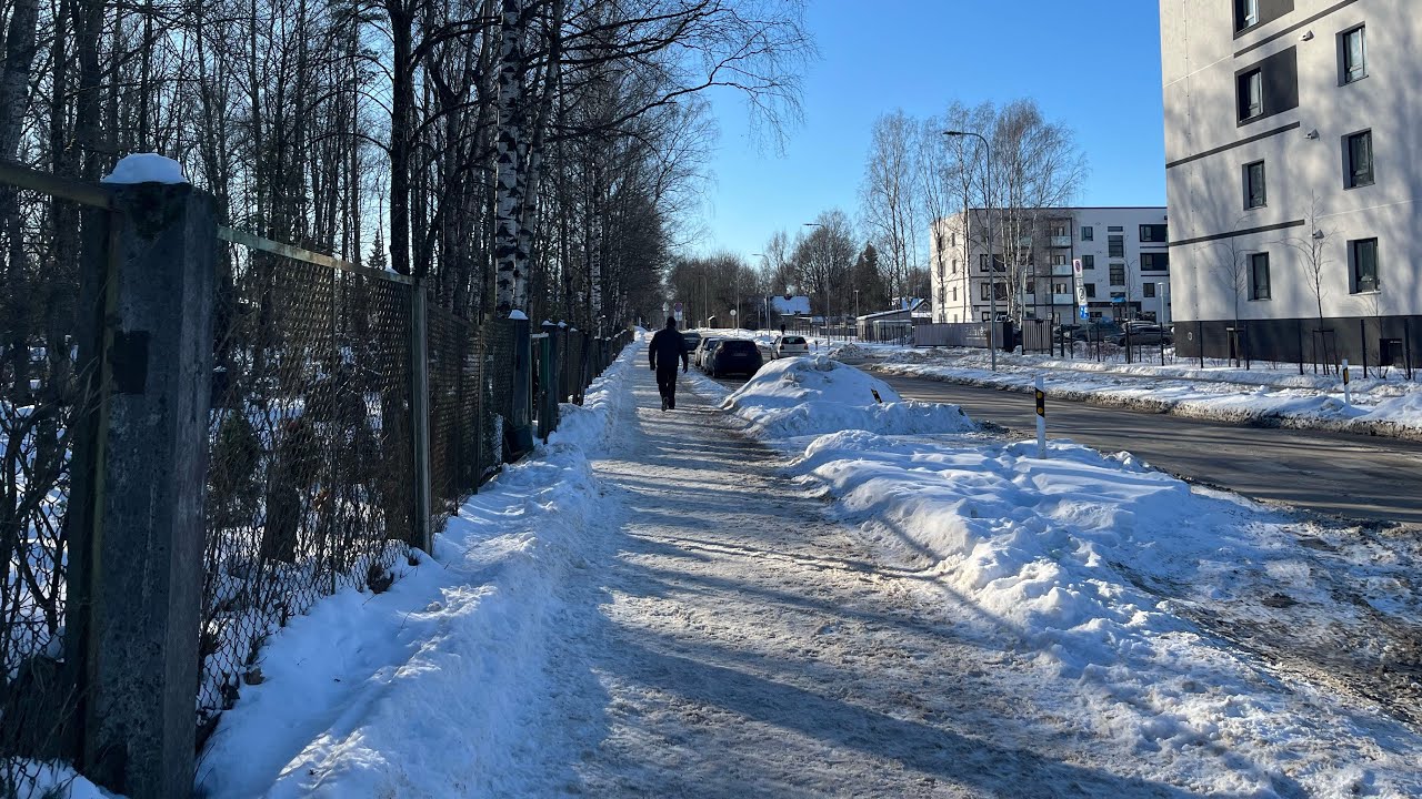 Два воскресных дня,  две прогулки