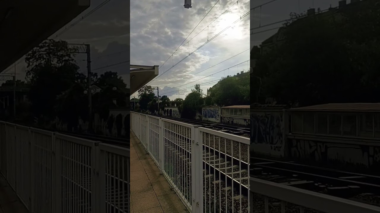 Przelot Chomika ED72Ac