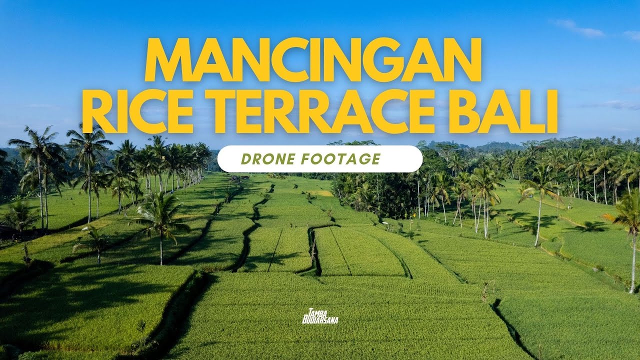 The Most Beautiful Rice Fields View in Bali | Mancingan Rice Terrace Bali