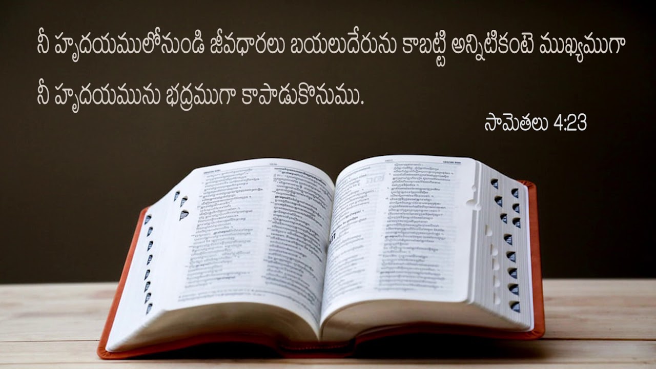 Proverbs 4:23 Today's Bible Devotion