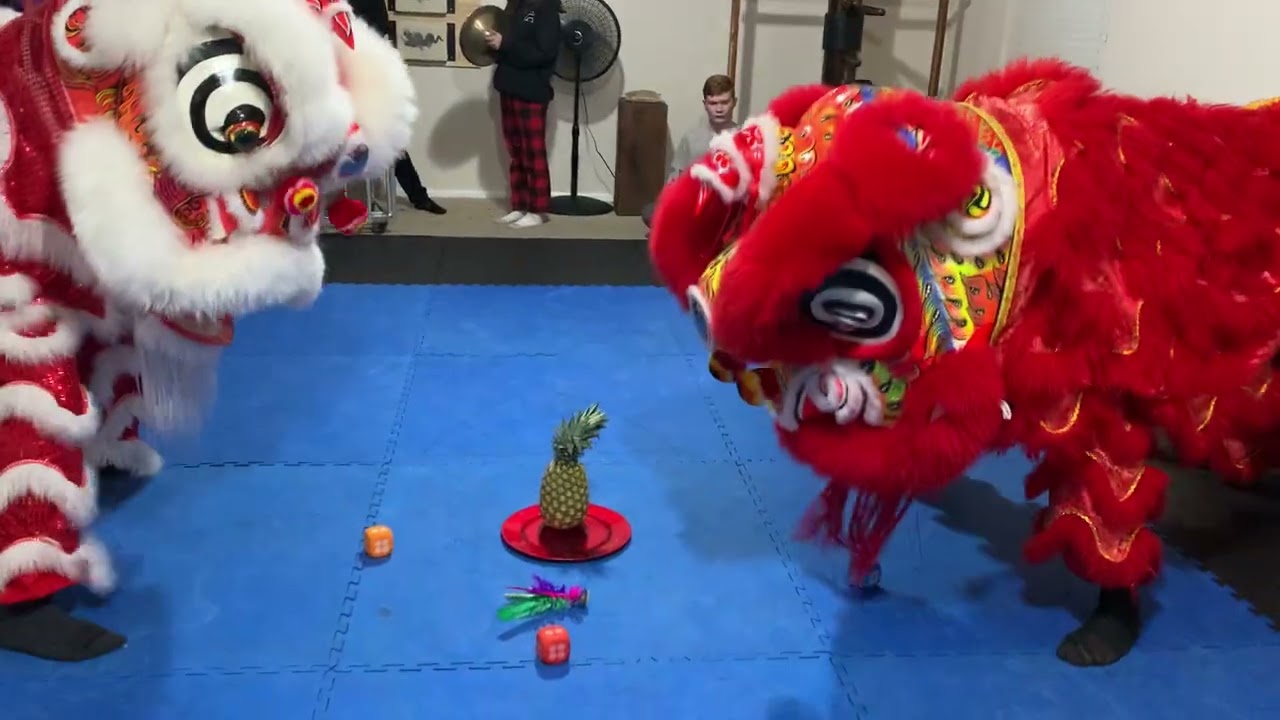 Lion dance orange show
