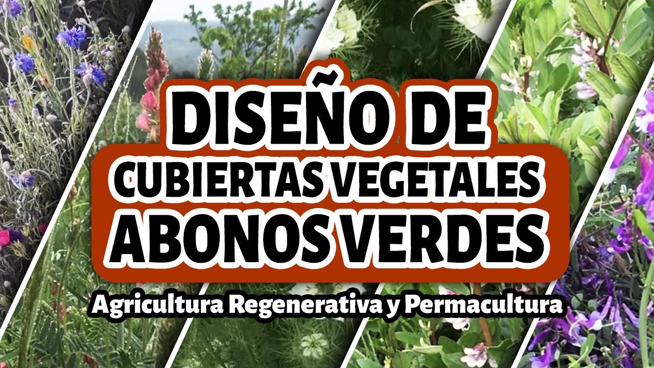Abono verde y cubiertas vegetales perennes y anuales