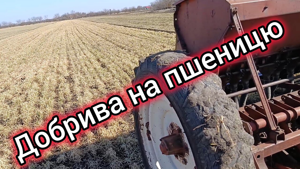 14.03.26.❌Перший день в полі, удобрення пшениці від ''Viterra seed ''.