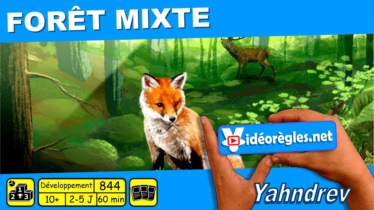 Vidéorègle Jeu de Société 